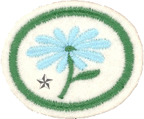 Flores II